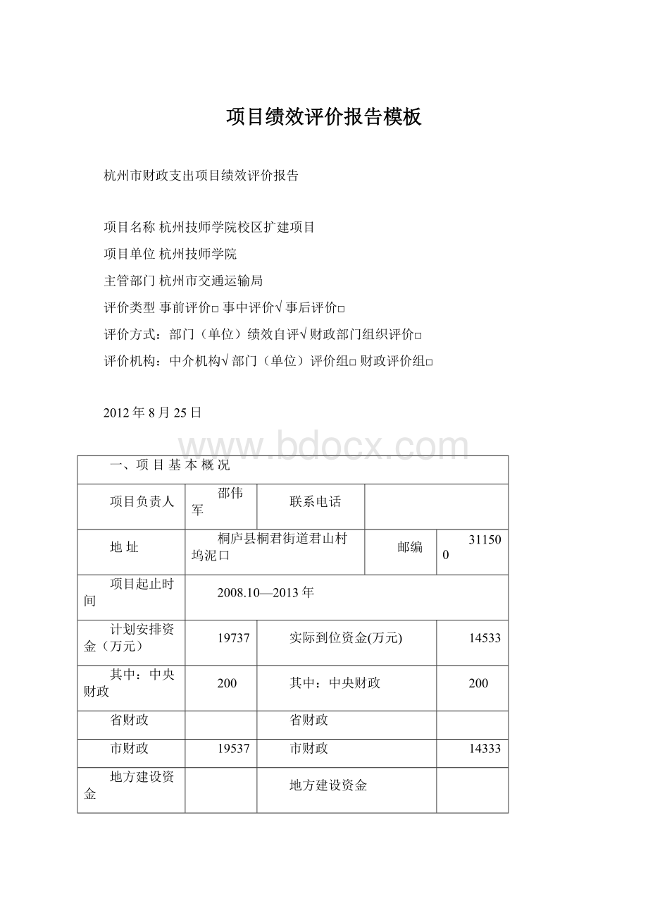 项目绩效评价报告模板.docx_第1页