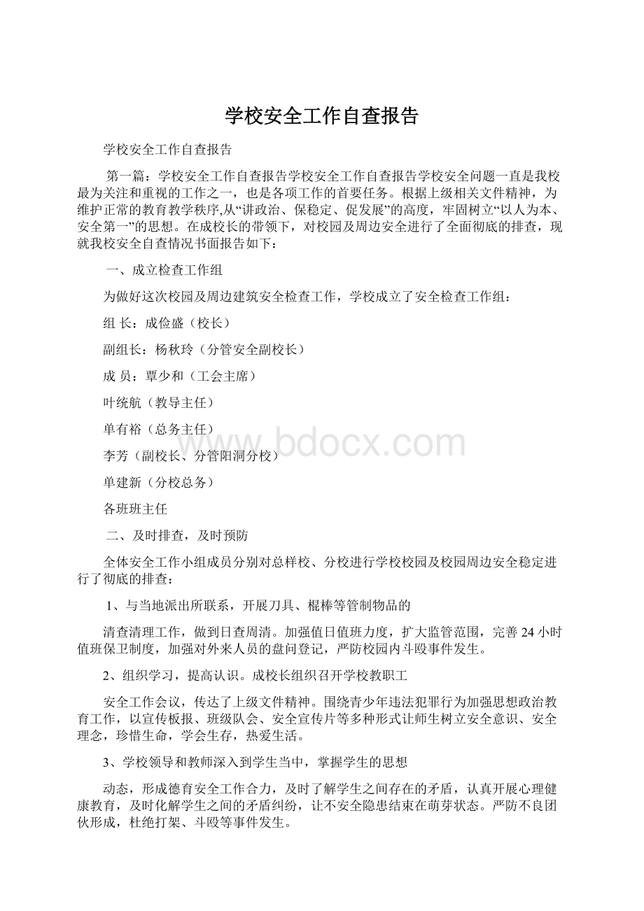 学校安全工作自查报告文档格式.docx