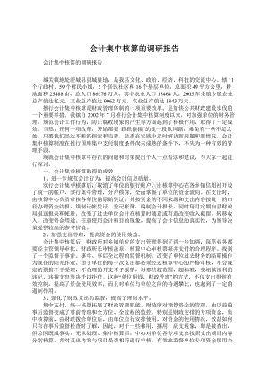 会计集中核算的调研报告.docx