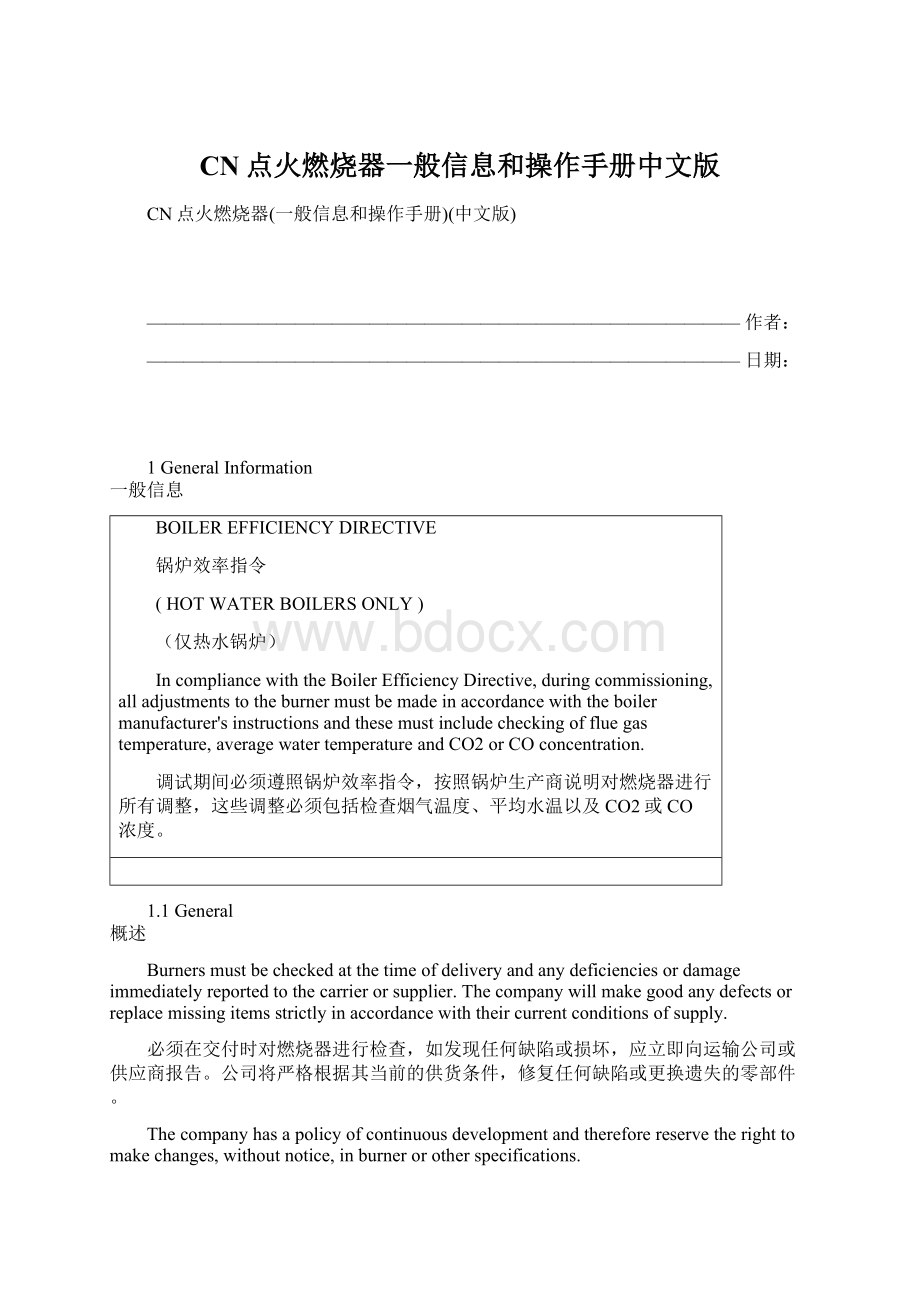 CN点火燃烧器一般信息和操作手册中文版Word文件下载.docx