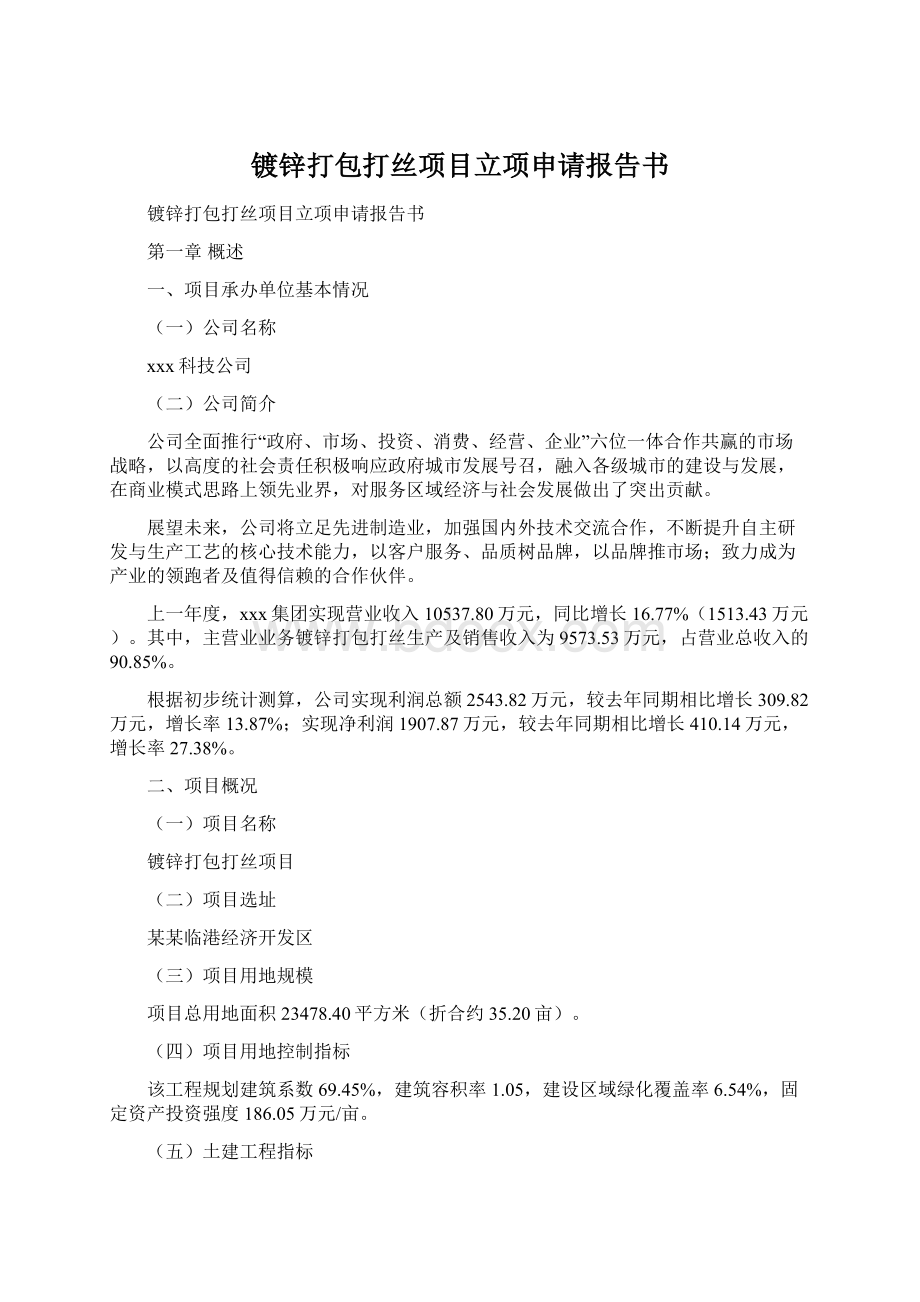 镀锌打包打丝项目立项申请报告书Word格式.docx