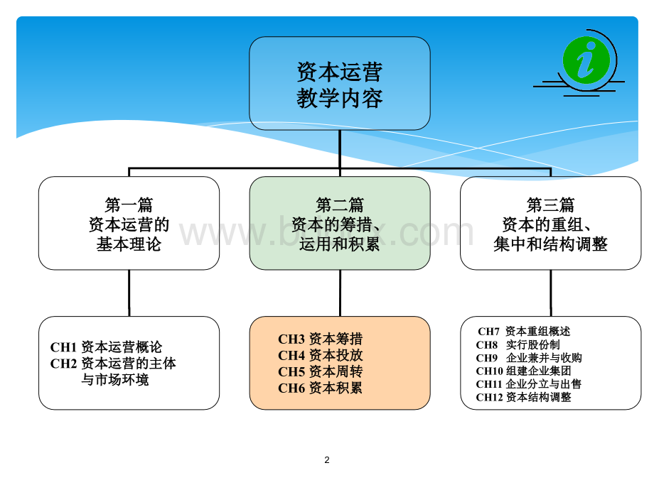 资本投放.ppt_第2页