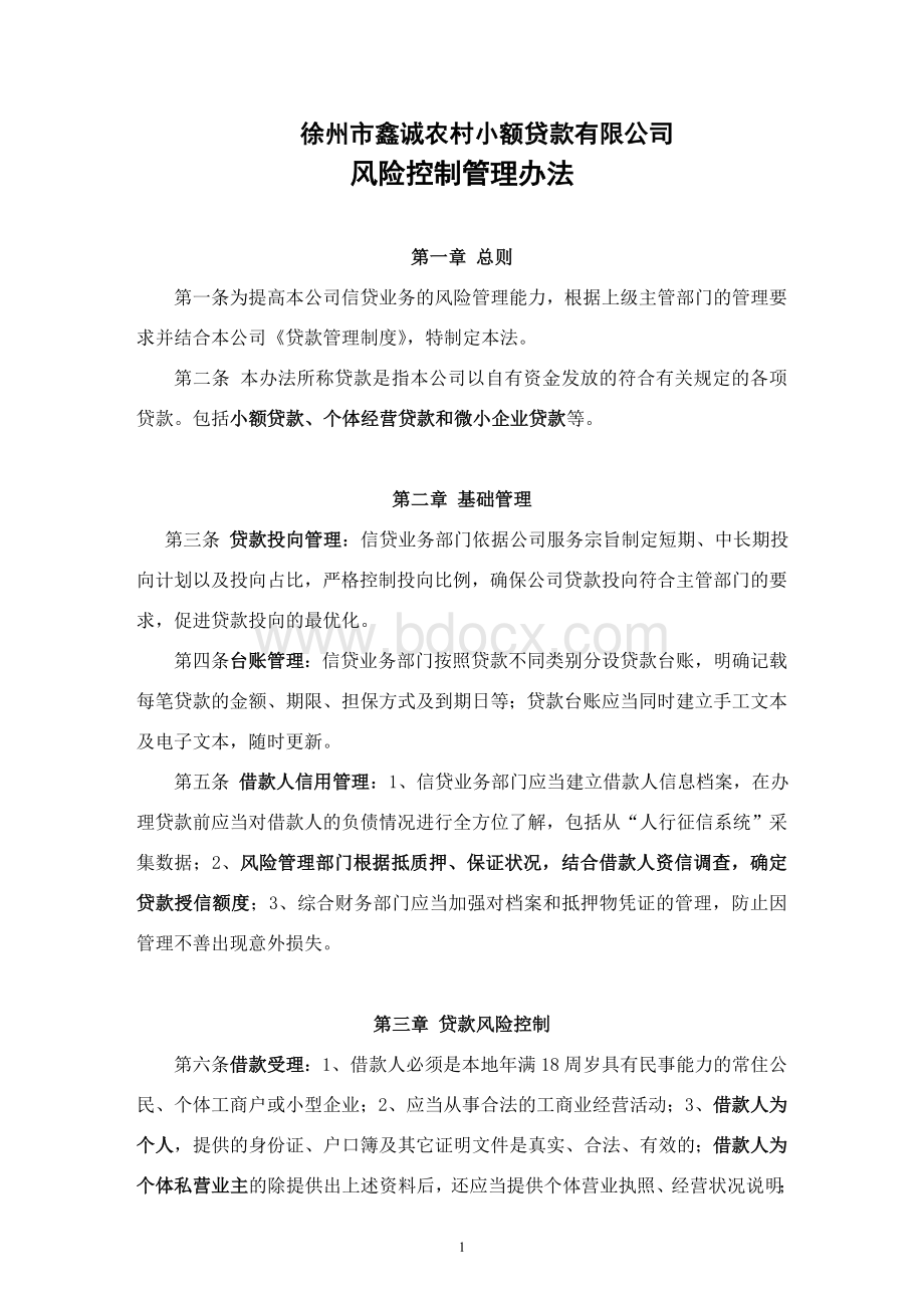 贷款公司风险控制技术文档格式.doc