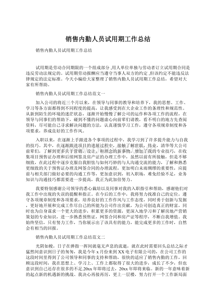 销售内勤人员试用期工作总结.docx