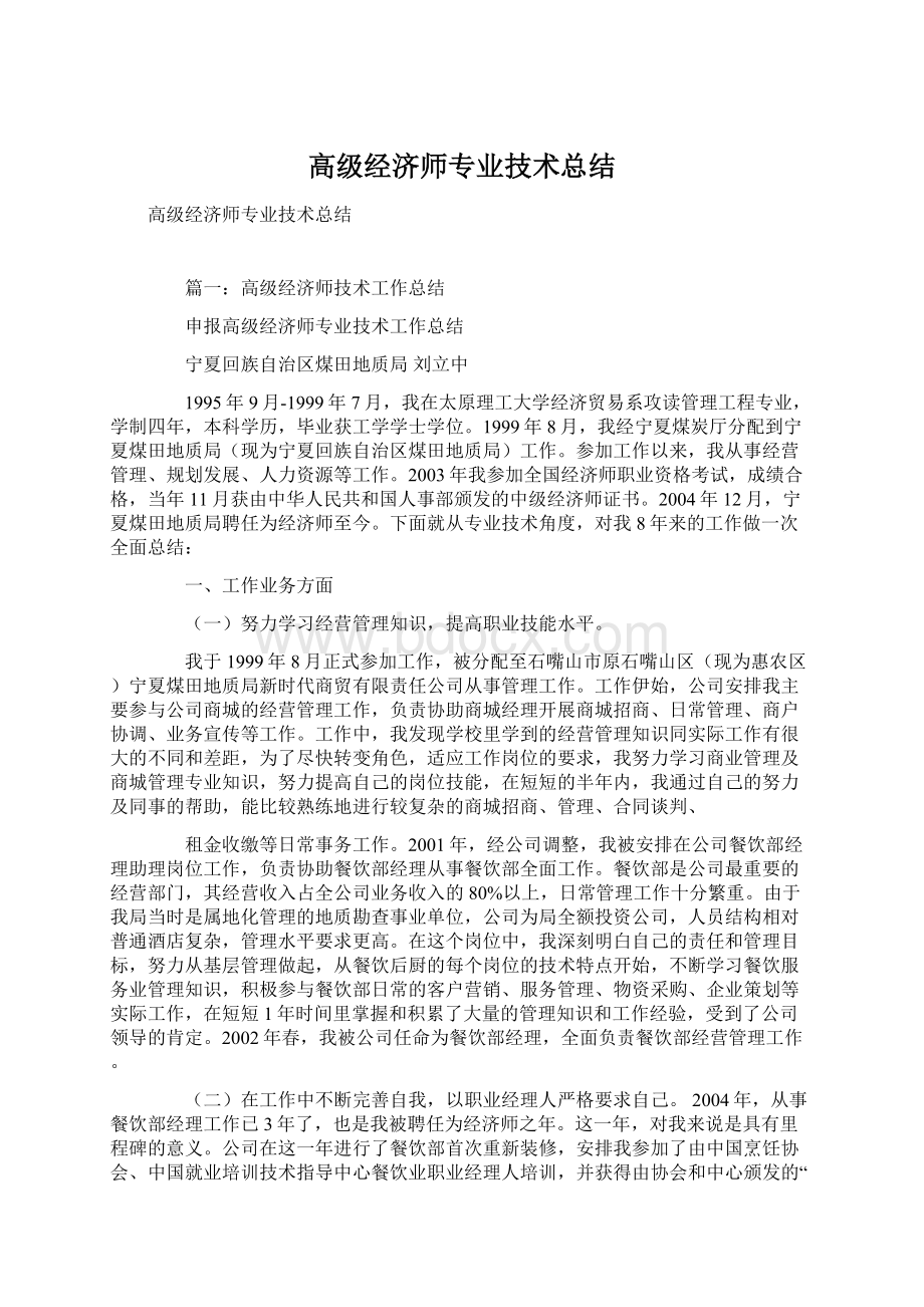 高级经济师专业技术总结Word下载.docx