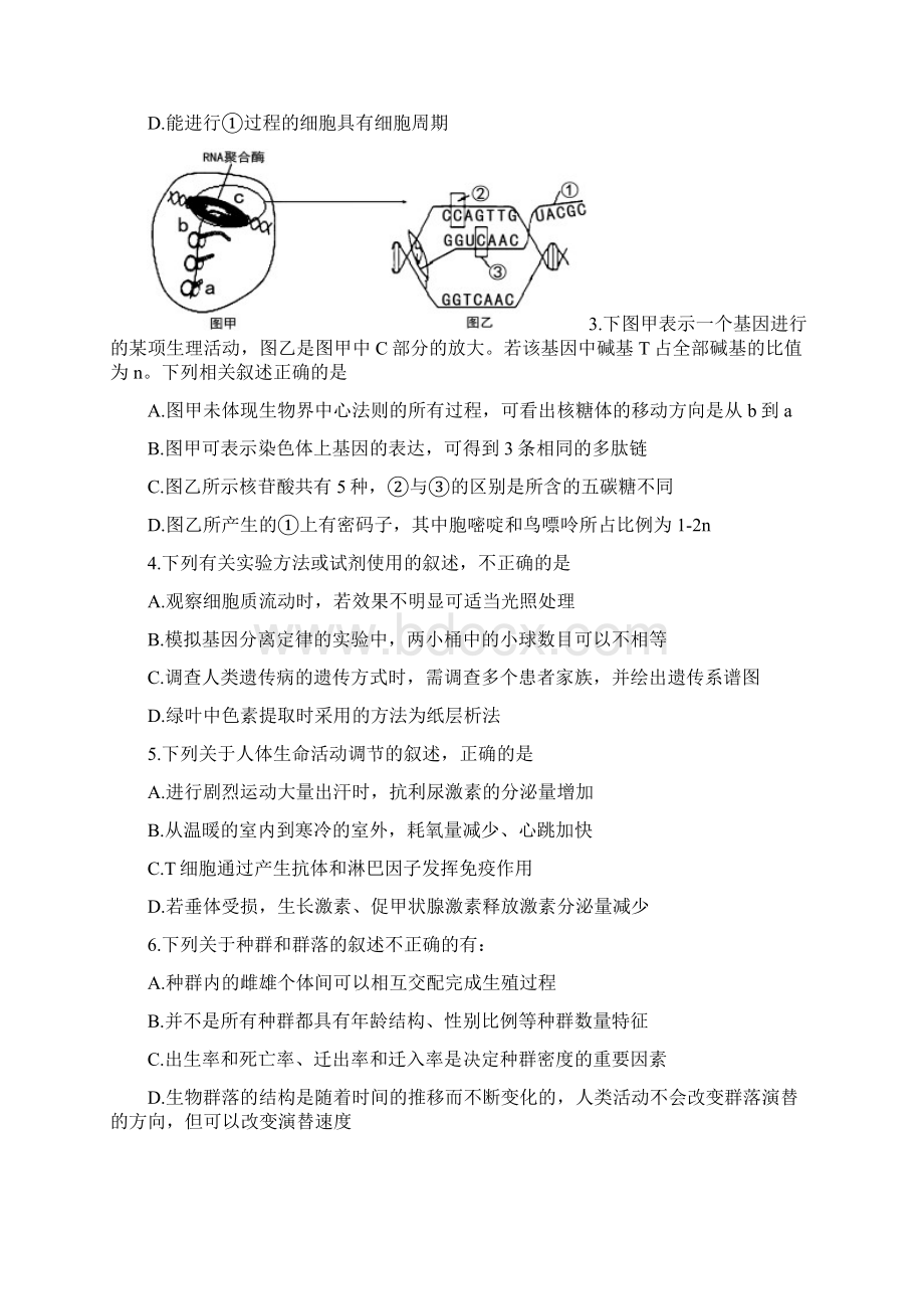 高三上学期第五次月考理综试题 含答案Word格式文档下载.docx_第2页