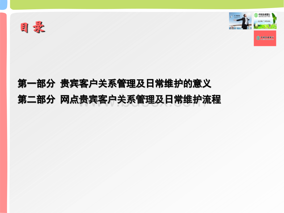 贵宾客户关系管理及日常维护PPT文件格式下载.ppt_第2页