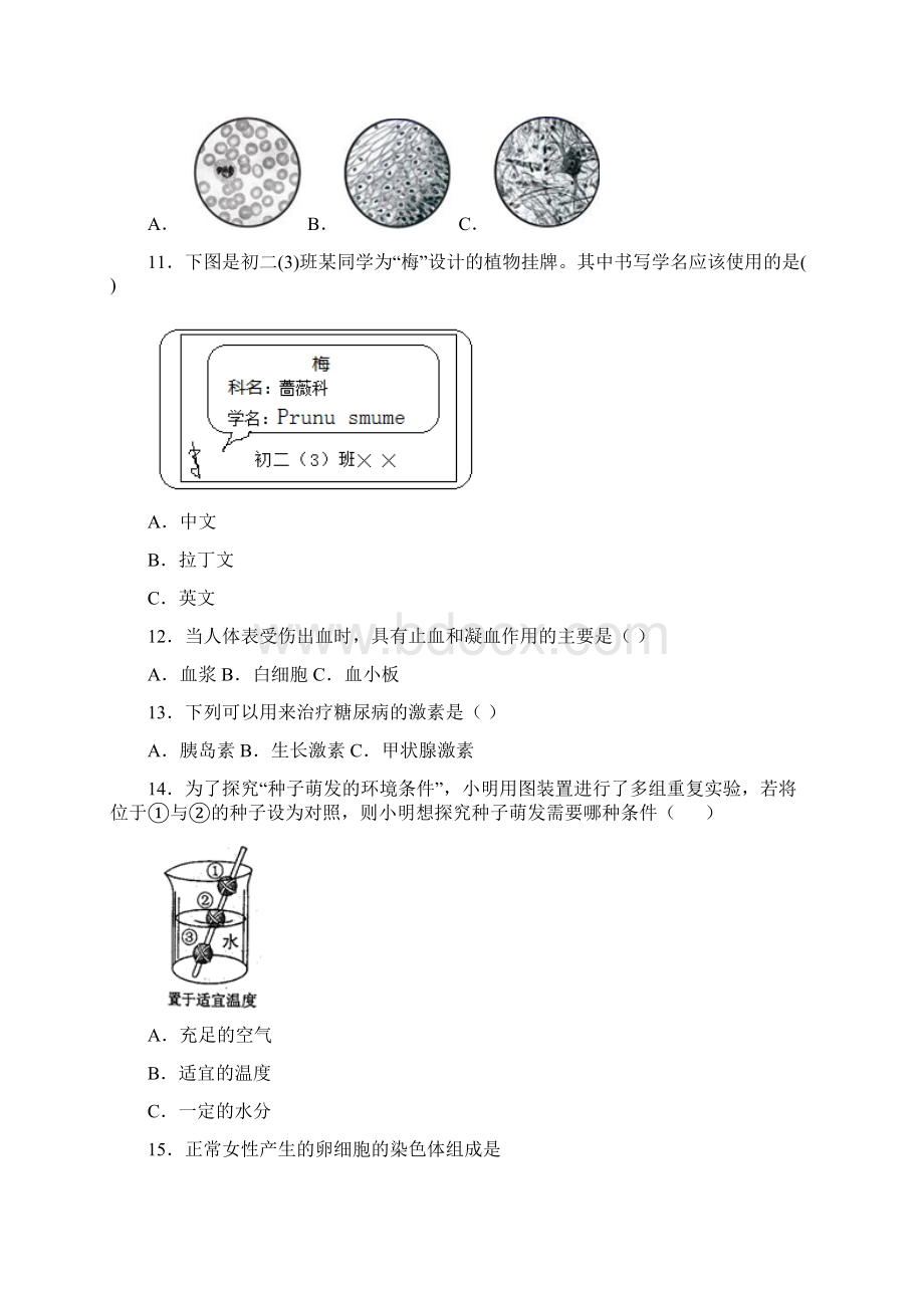 江苏省洪泽县黄集中学届九年级上学期期末模拟测试生物试题.docx_第2页