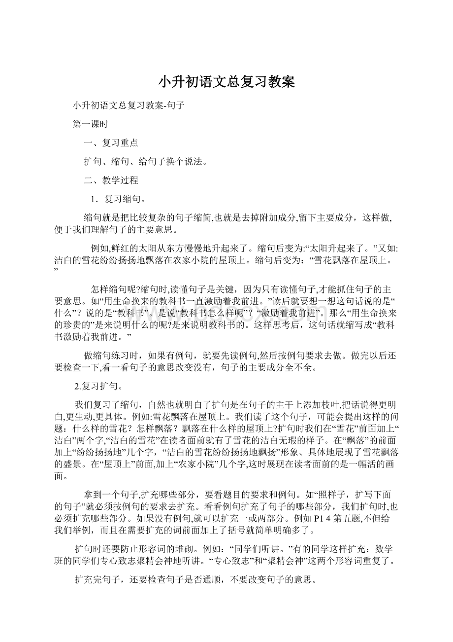 小升初语文总复习教案Word下载.docx_第1页