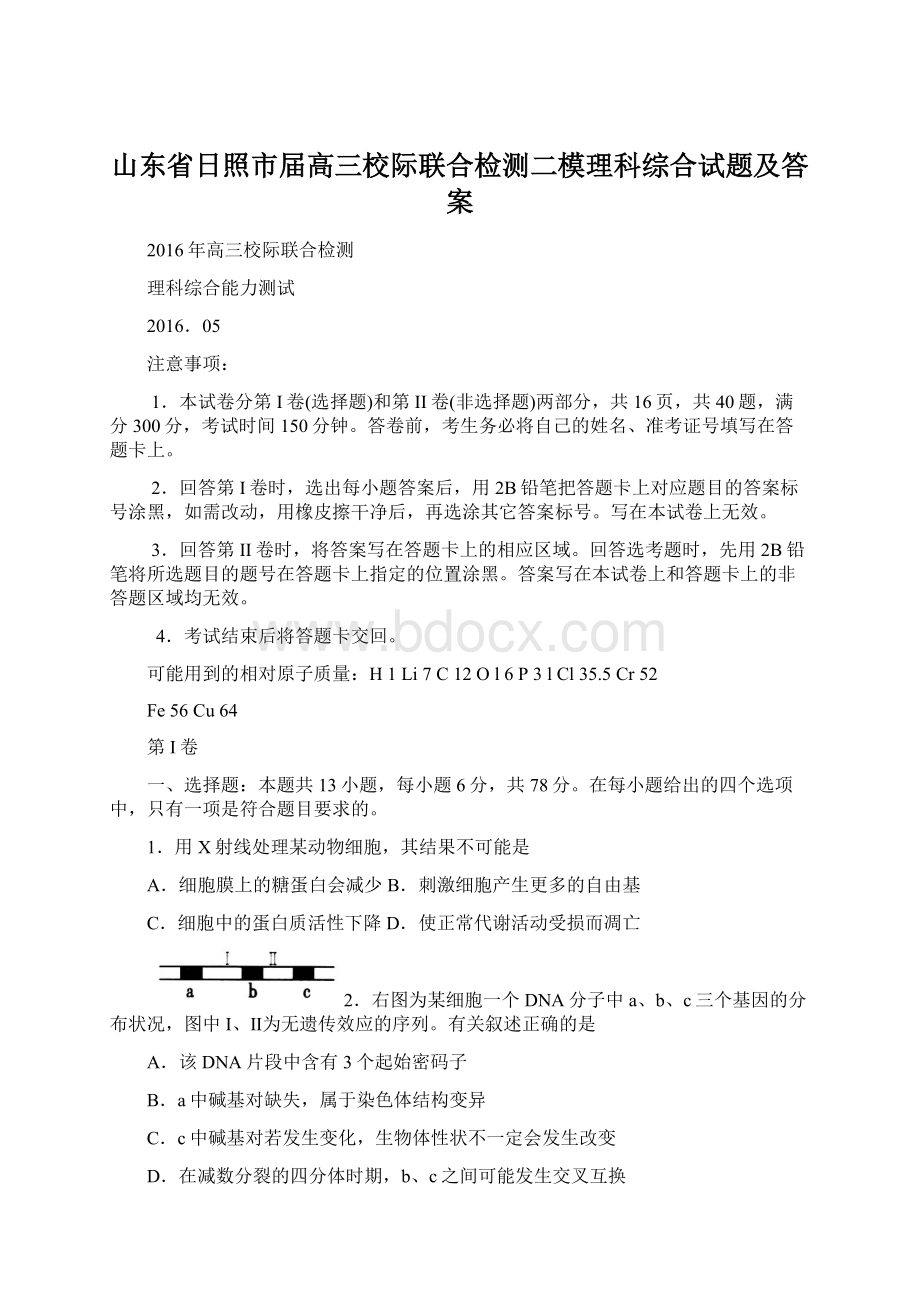 山东省日照市届高三校际联合检测二模理科综合试题及答案文档格式.docx