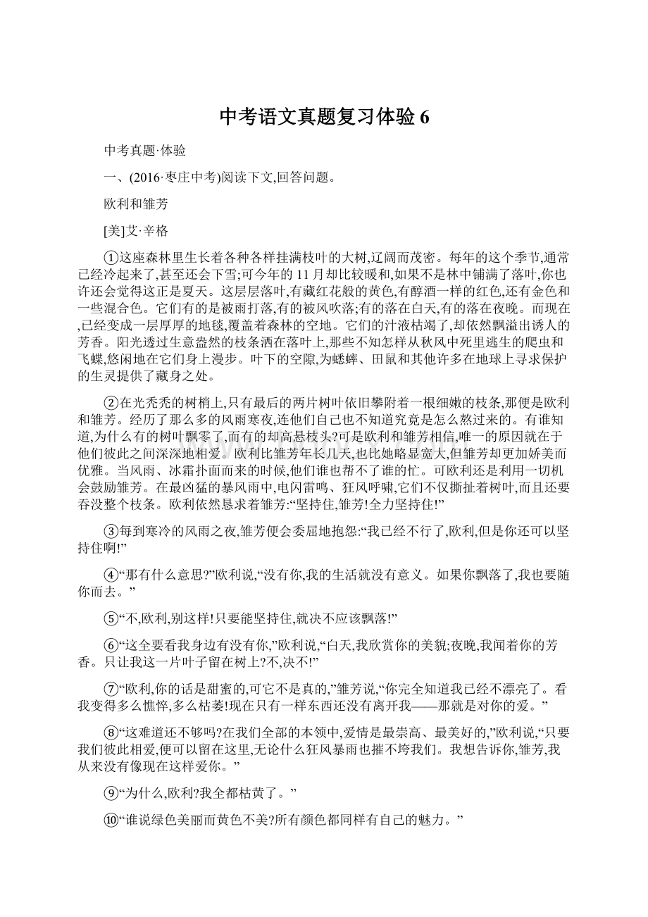 中考语文真题复习体验6.docx