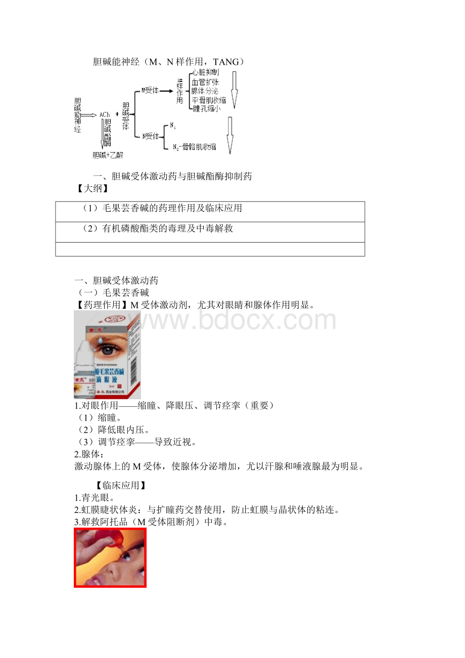 临床助理医师资格考试辅导课件药理学第二节传出神经系统药讲义.docx_第3页