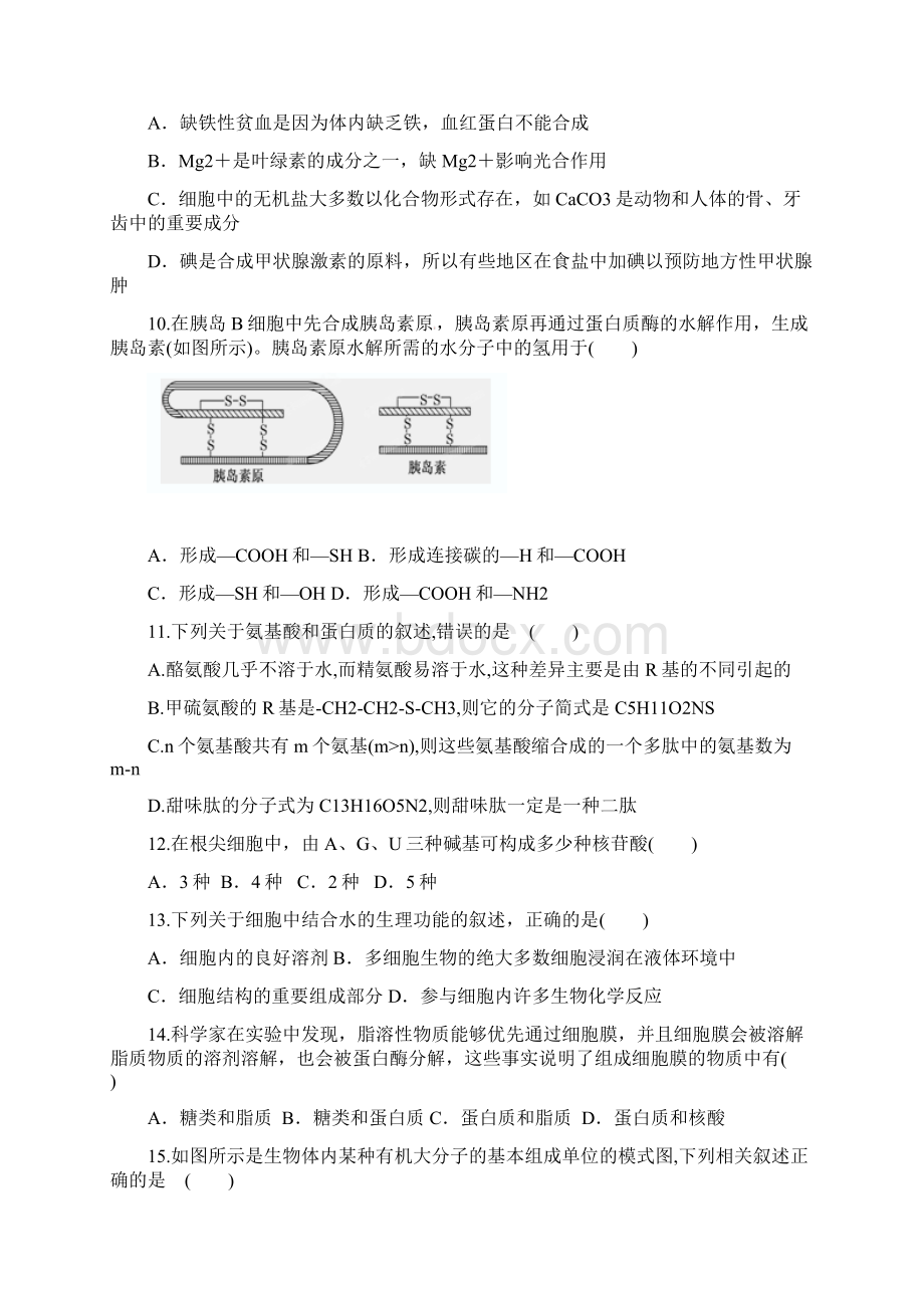 高一生物上学期模块考试期中试题Word下载.docx_第3页