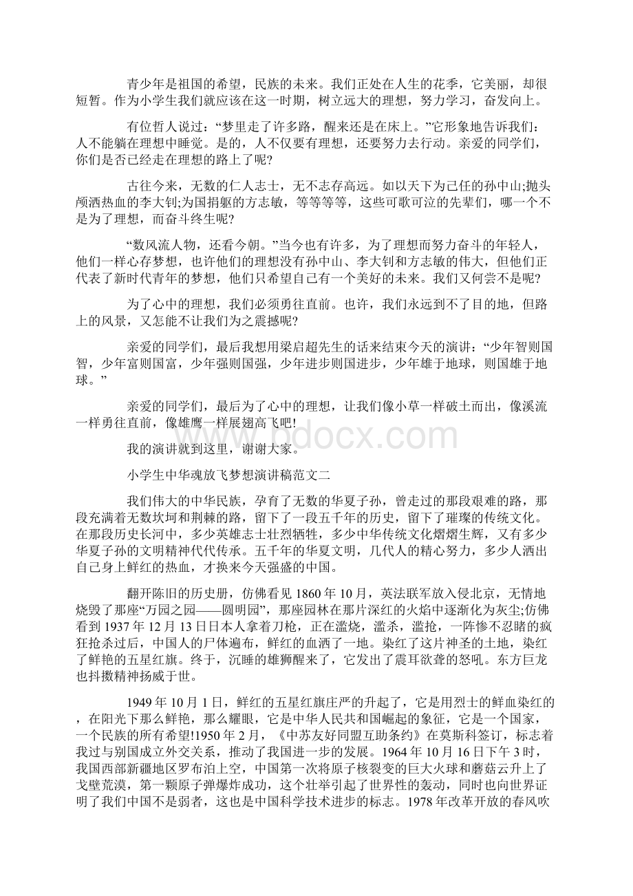 中华魂放飞梦想演讲稿3篇.docx_第3页