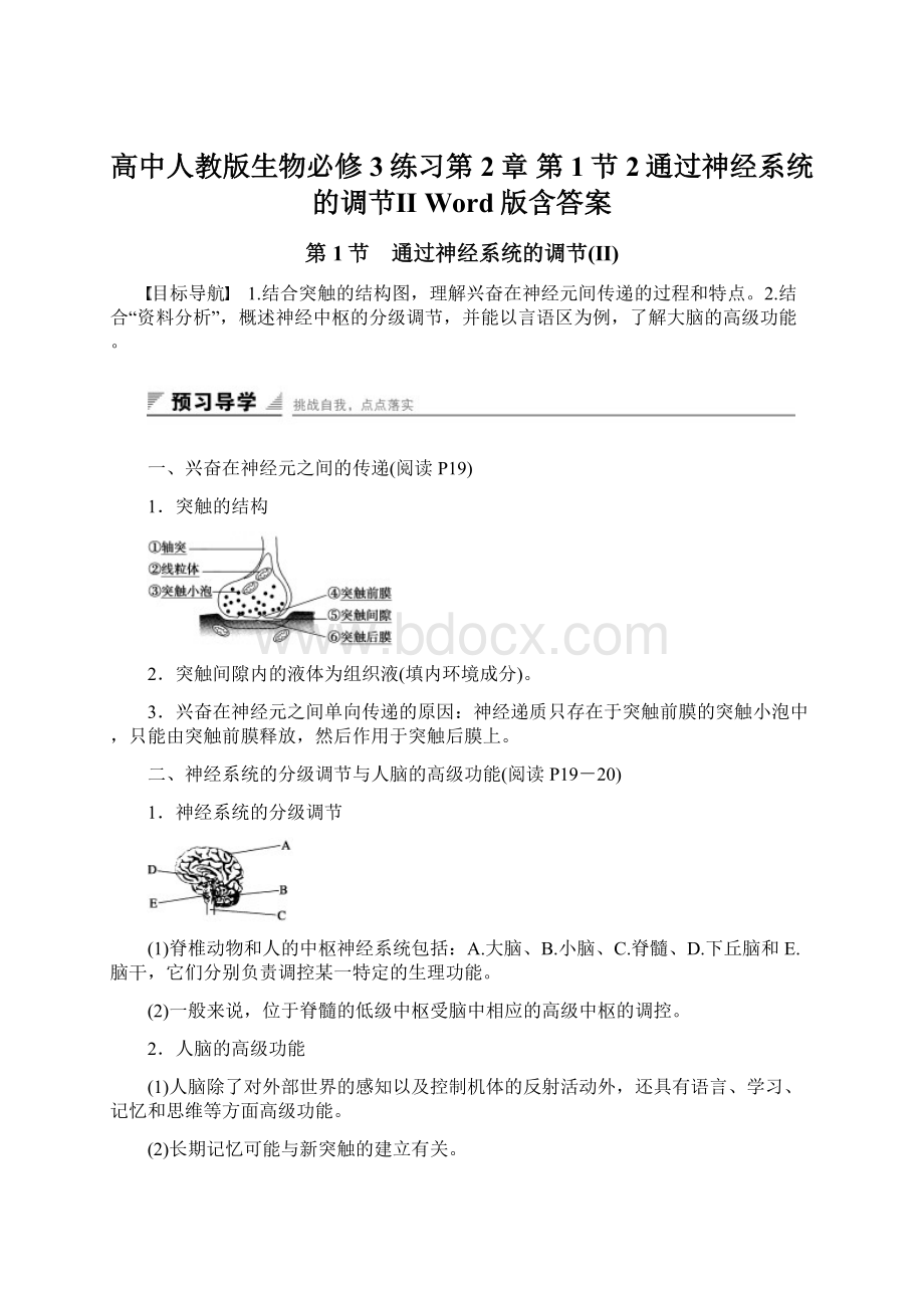 高中人教版生物必修3练习第2章 第1节2通过神经系统的调节Ⅱ Word版含答案Word格式.docx