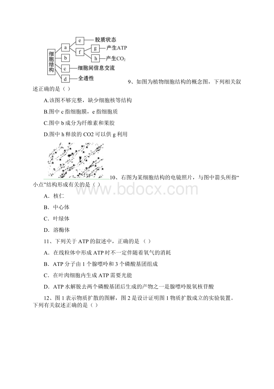 届浙江省杭州地区七校高三上学期期中联考生物试题文档格式.docx_第3页