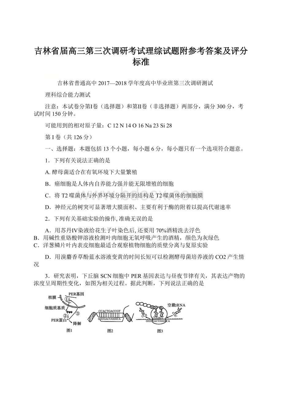 吉林省届高三第三次调研考试理综试题附参考答案及评分标准Word文件下载.docx_第1页