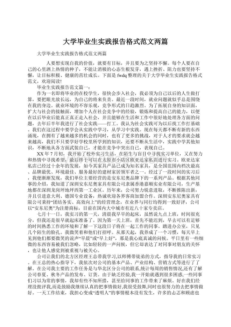 大学毕业生实践报告格式范文两篇.docx_第1页