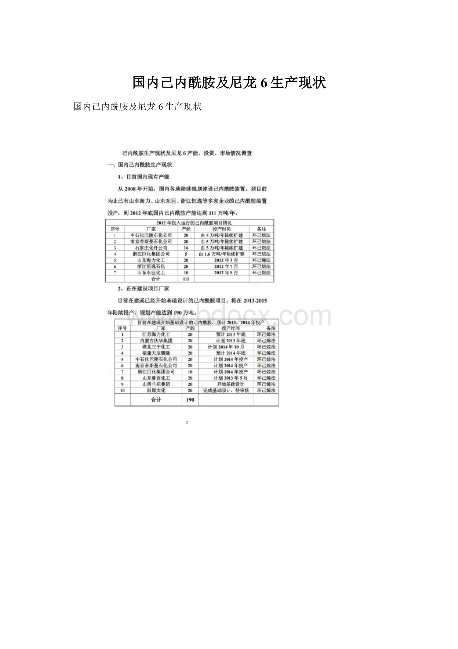 国内己内酰胺及尼龙6生产现状Word格式.docx_第1页