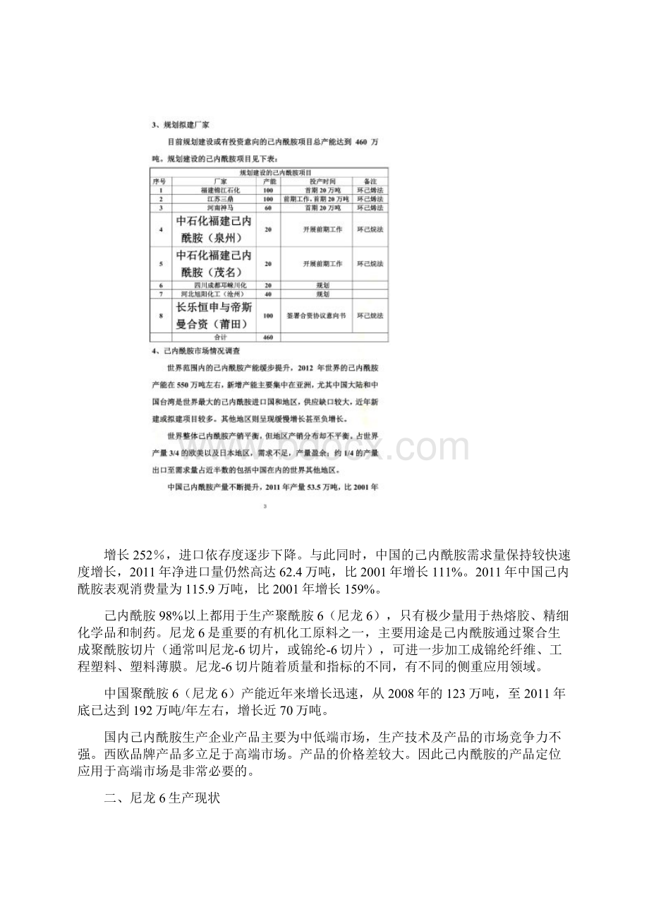 国内己内酰胺及尼龙6生产现状Word格式.docx_第2页