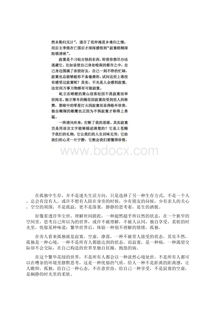 关于孤独的作文文档格式.docx_第3页