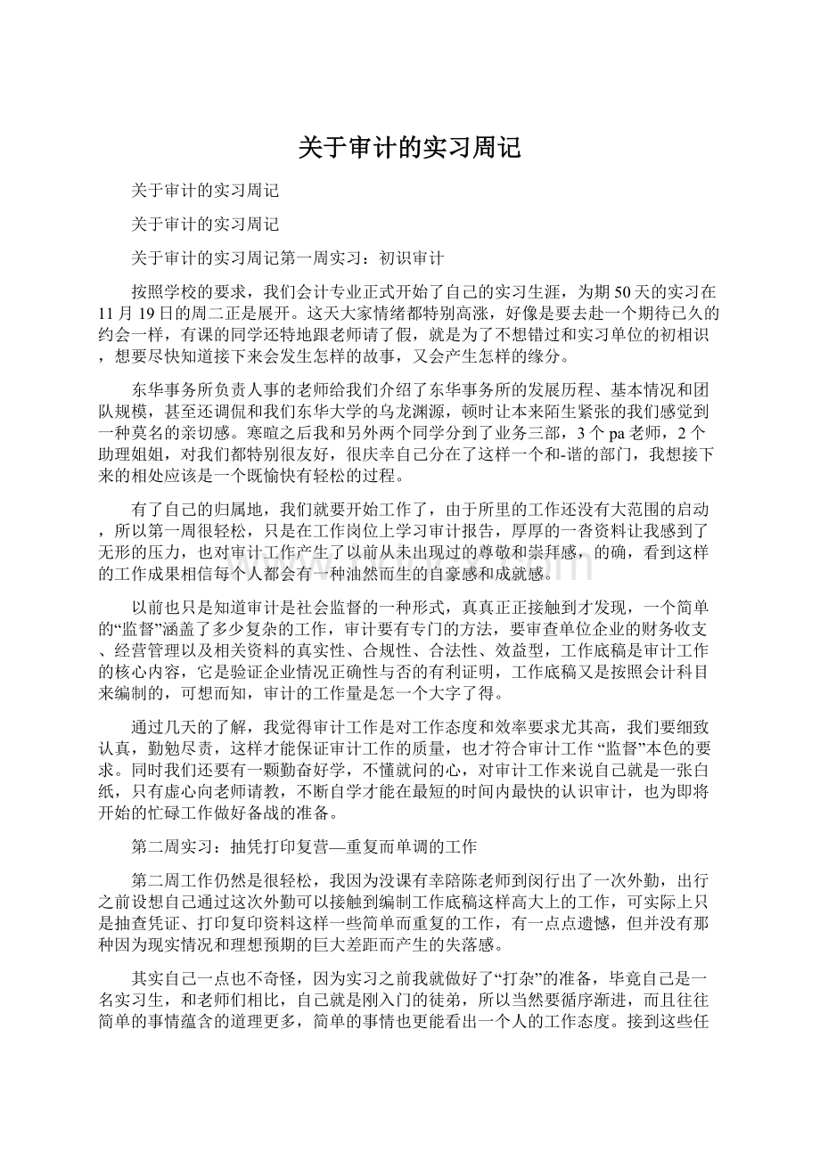 关于审计的实习周记Word格式文档下载.docx