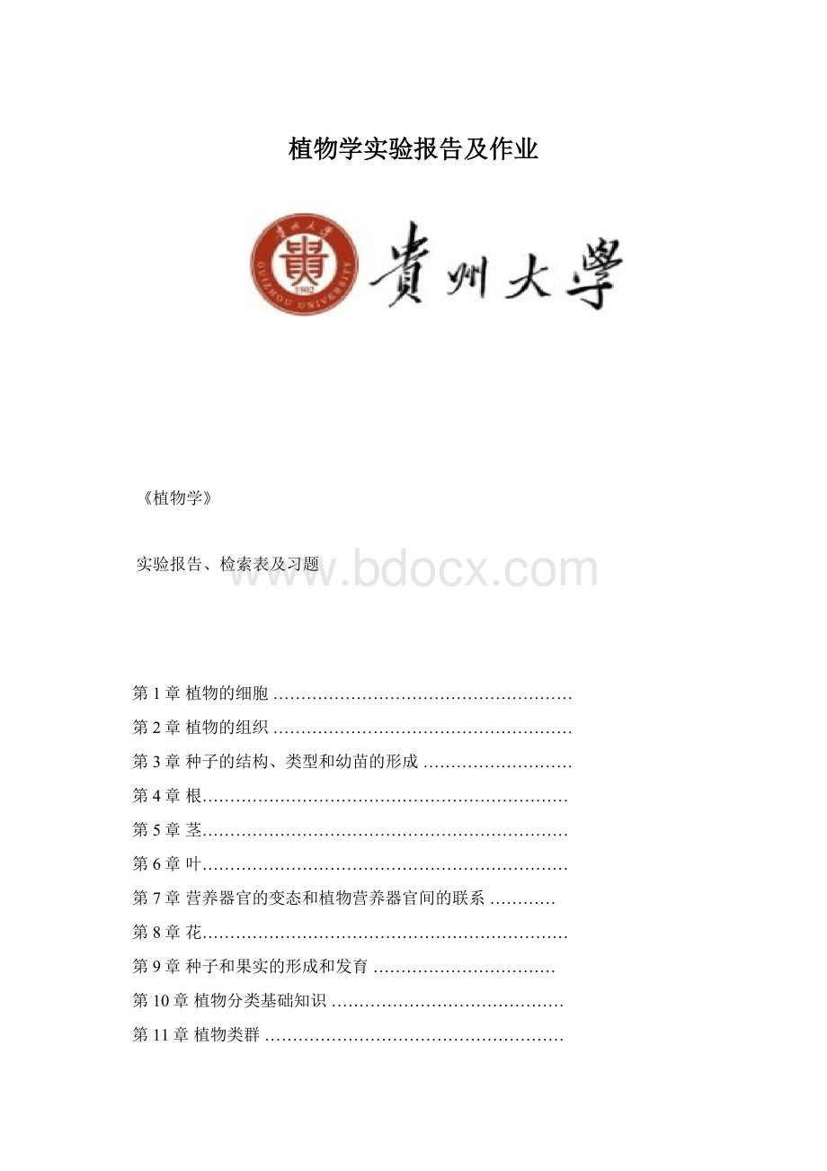 植物学实验报告及作业Word文档下载推荐.docx