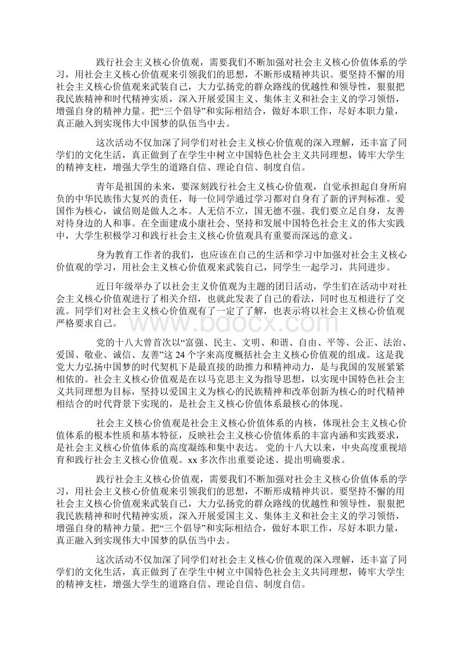 大学生践行社会主义核心价值观团日活动总结docWord格式文档下载.docx_第3页