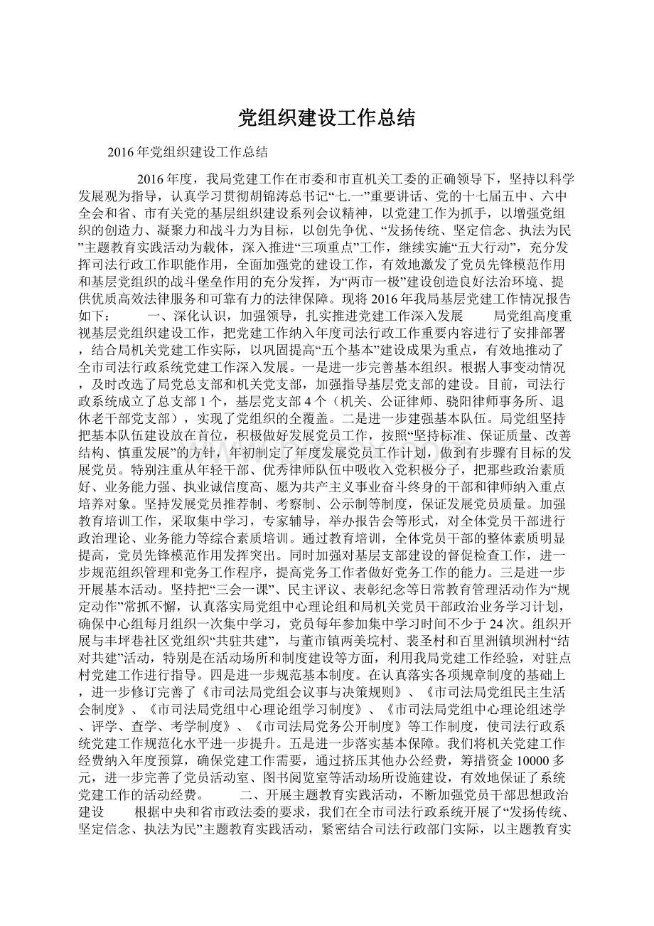 党组织建设工作总结文档格式.docx_第1页