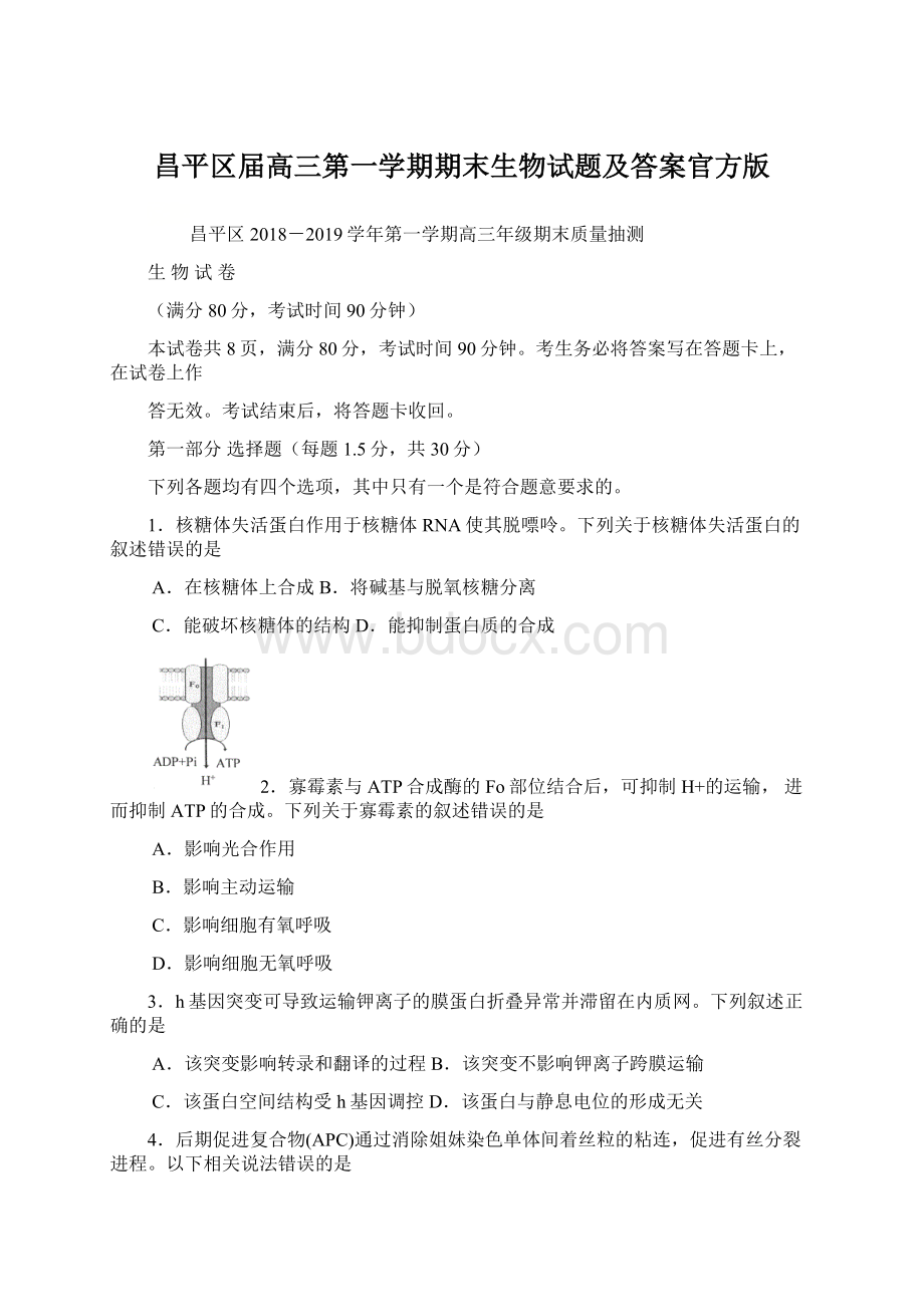 昌平区届高三第一学期期末生物试题及答案官方版Word文档格式.docx