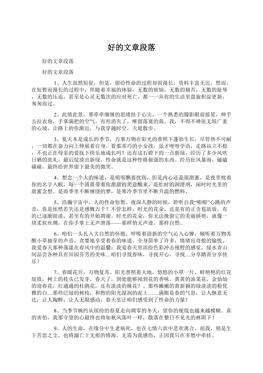 好的文章段落文档格式.docx