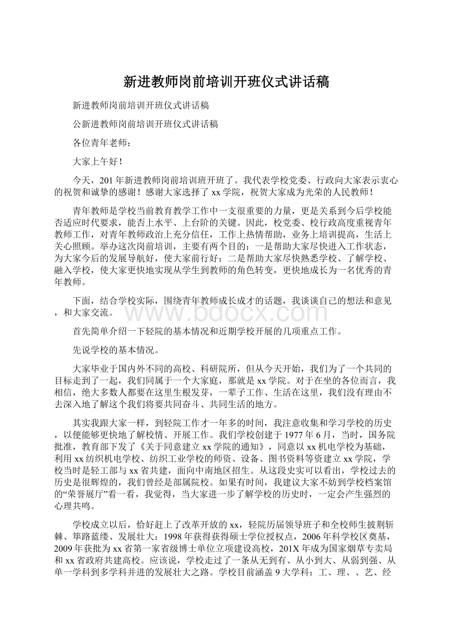 新进教师岗前培训开班仪式讲话稿.docx_第1页