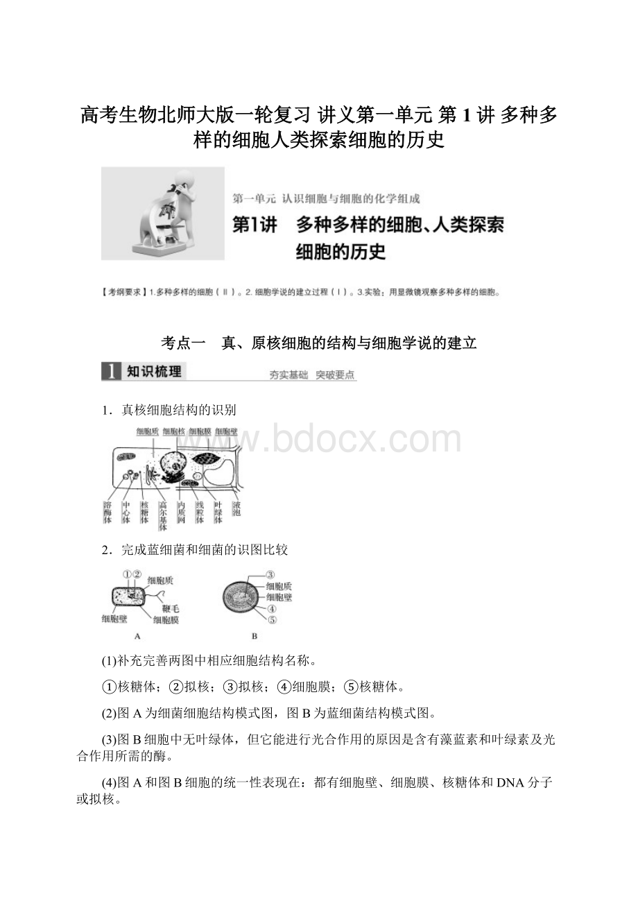 高考生物北师大版一轮复习 讲义第一单元 第1讲 多种多样的细胞人类探索细胞的历史.docx_第1页