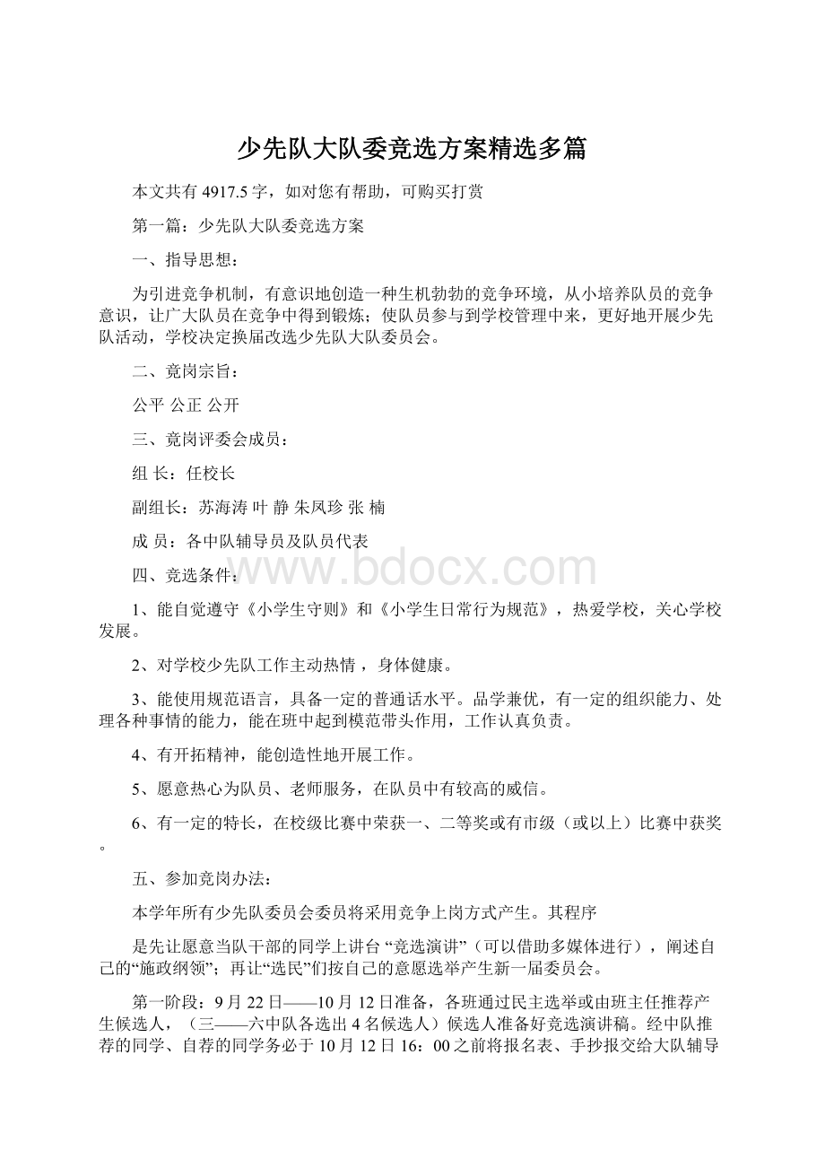 少先队大队委竞选方案精选多篇Word文档格式.docx