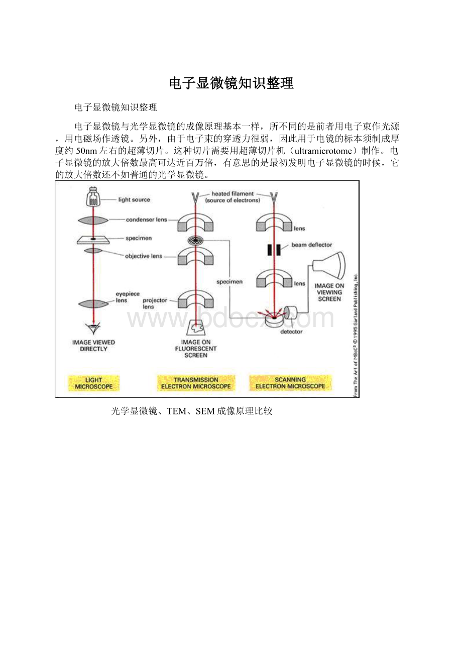 电子显微镜知识整理.docx_第1页