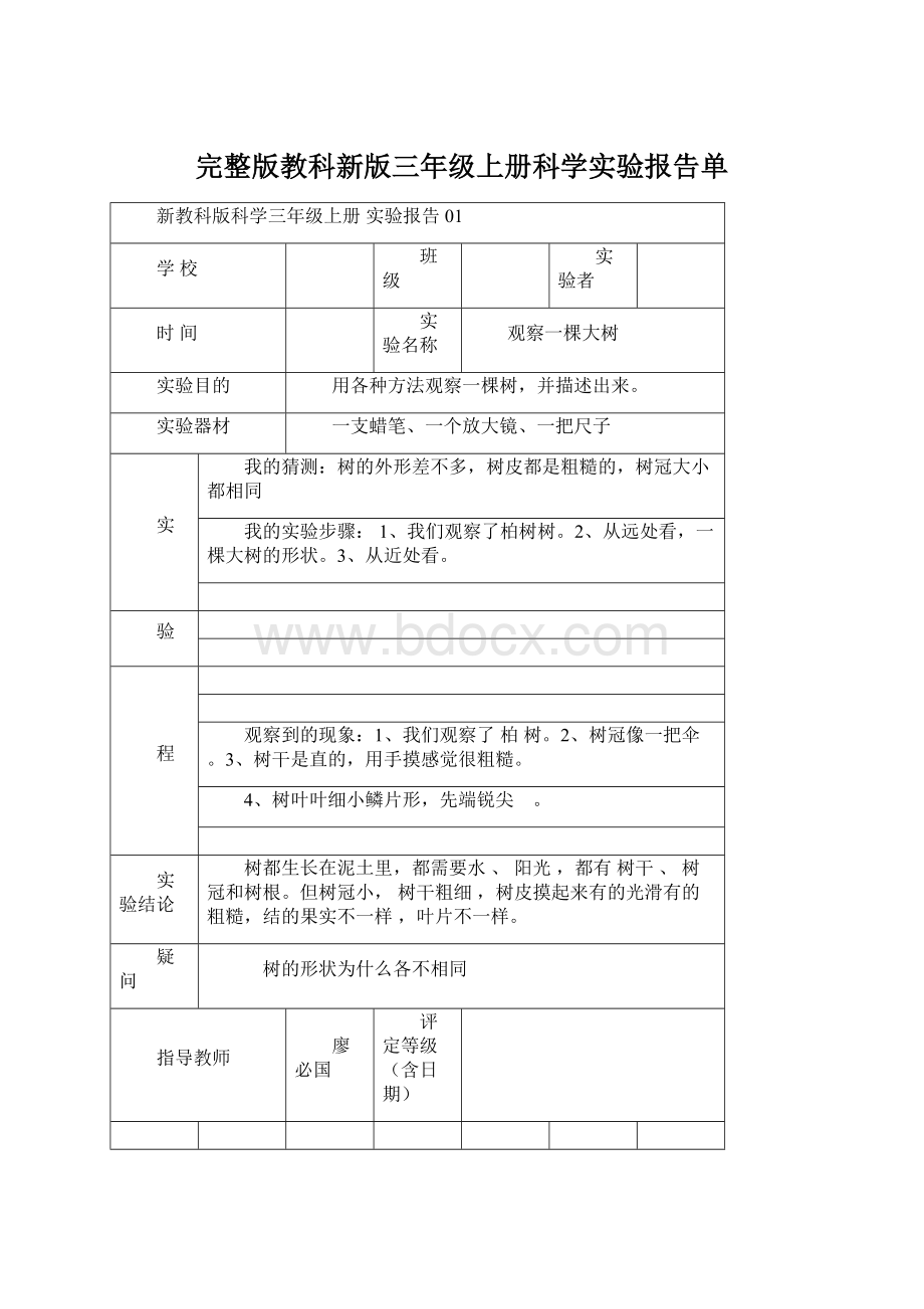 完整版教科新版三年级上册科学实验报告单Word文档格式.docx_第1页