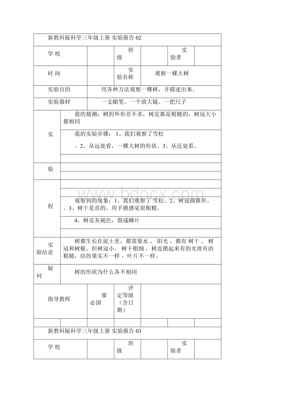 完整版教科新版三年级上册科学实验报告单Word文档格式.docx_第2页