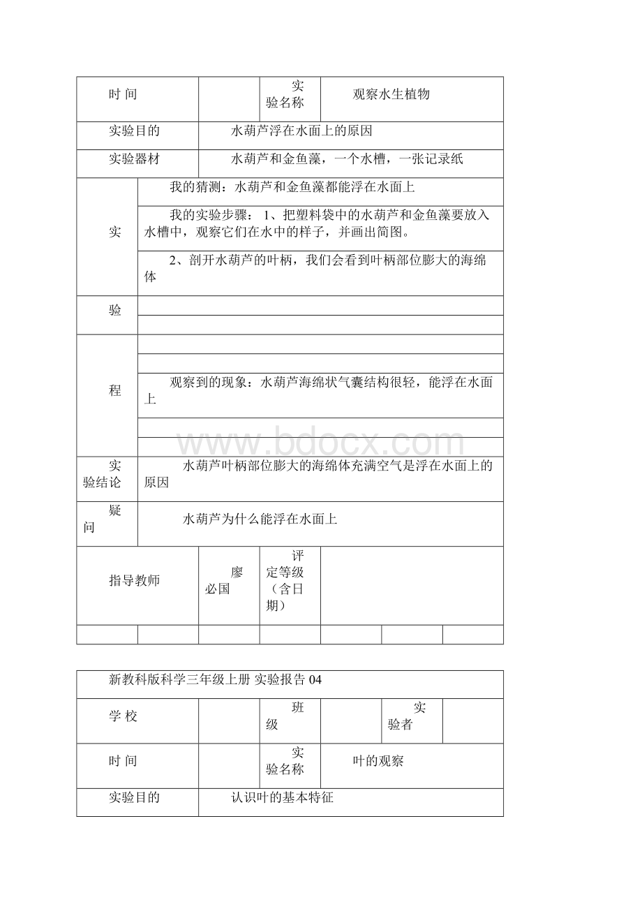 完整版教科新版三年级上册科学实验报告单Word文档格式.docx_第3页