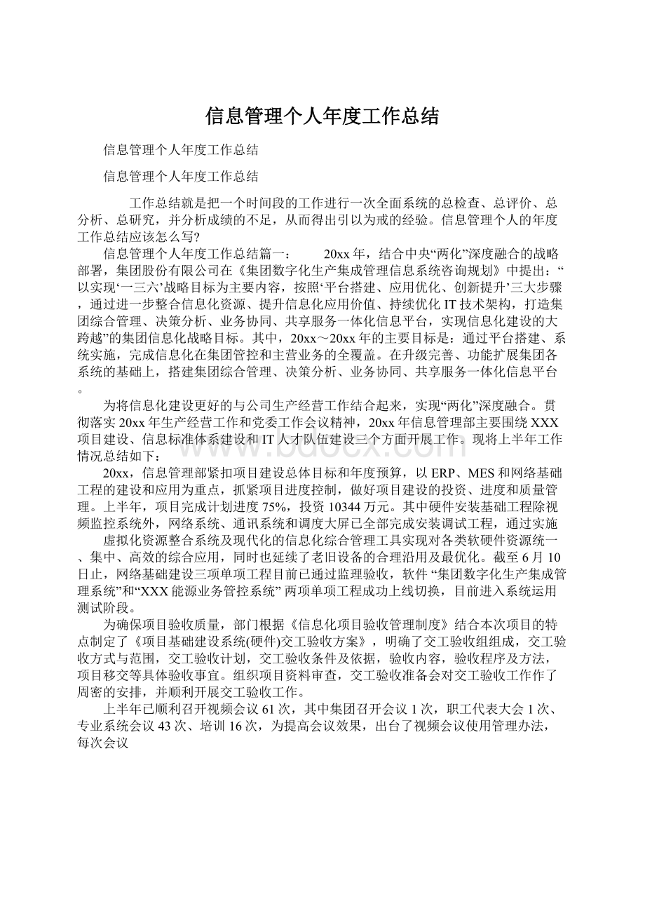 信息管理个人年度工作总结.docx