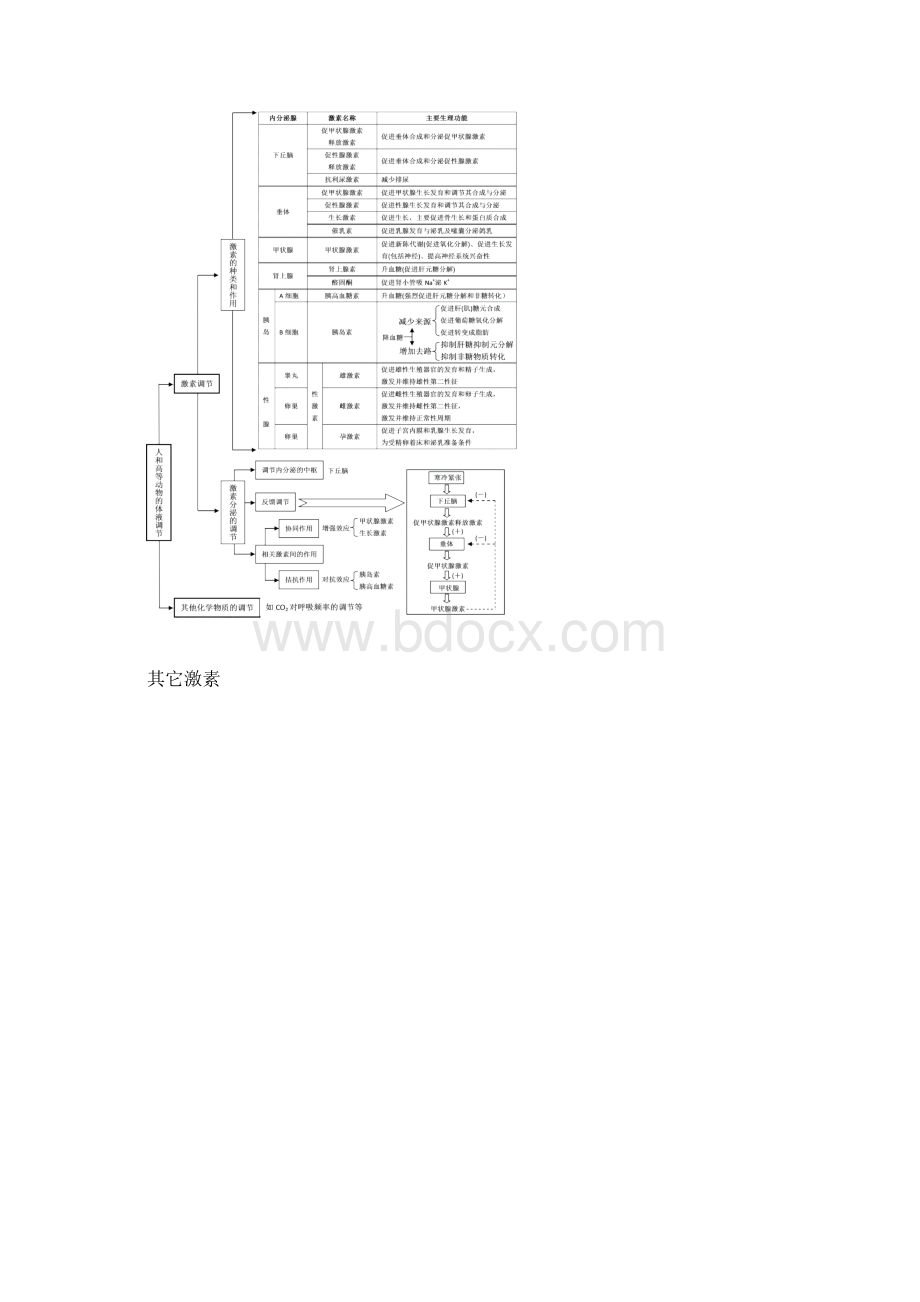 高三复习生物知识结构网络Word格式.docx_第2页