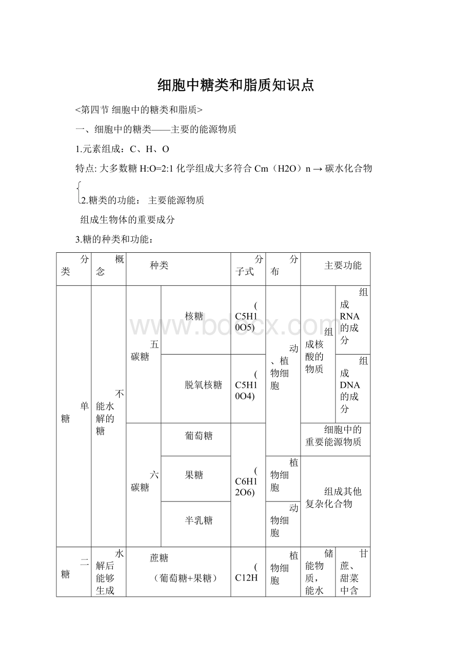 细胞中糖类和脂质知识点Word文档下载推荐.docx