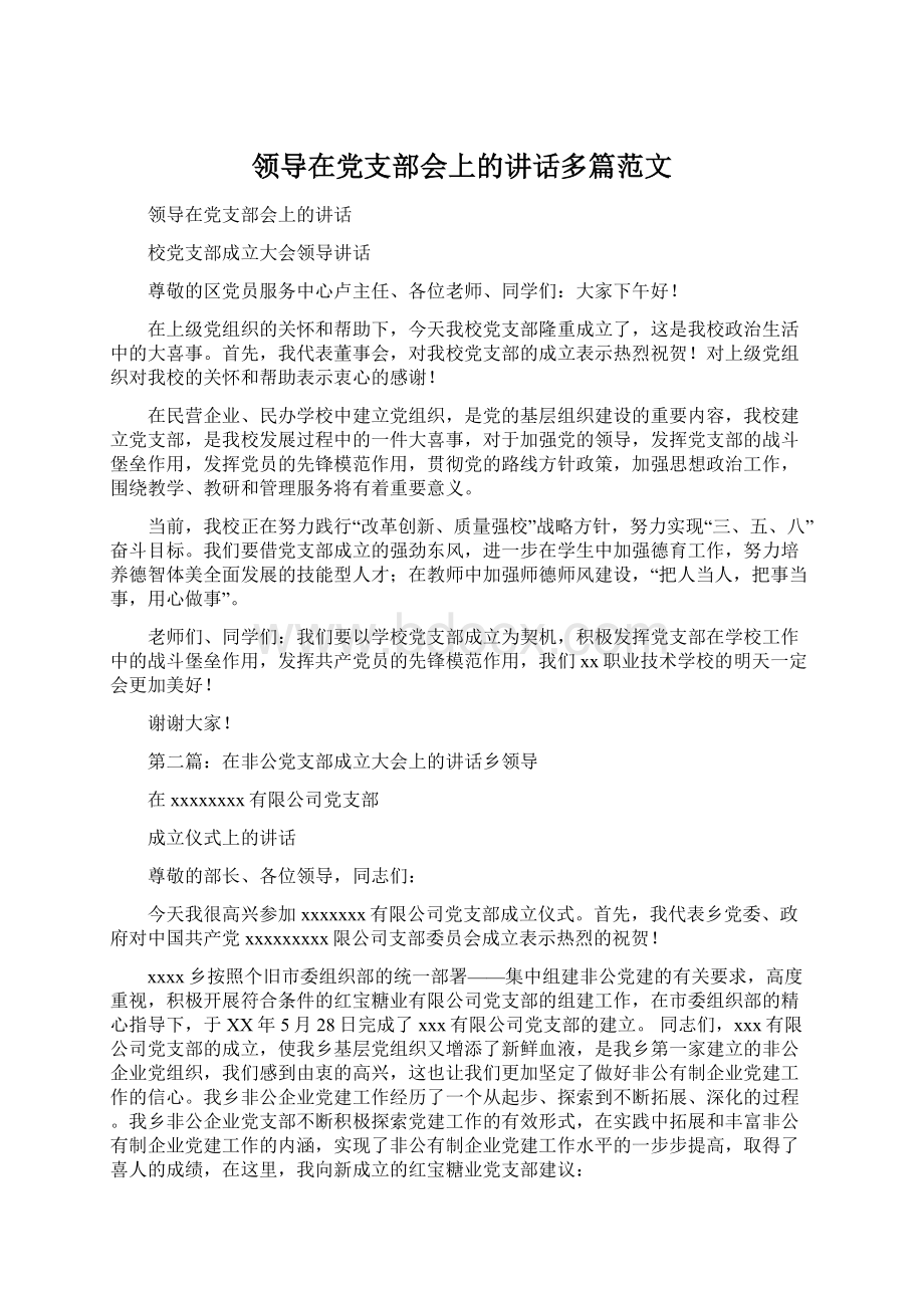 领导在党支部会上的讲话多篇范文文档格式.docx