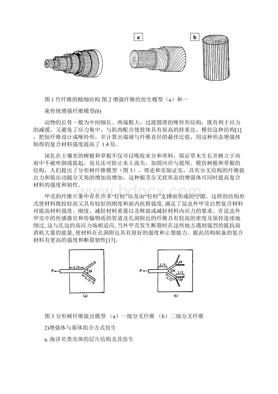 仿生复合材料Word文件下载.docx_第3页