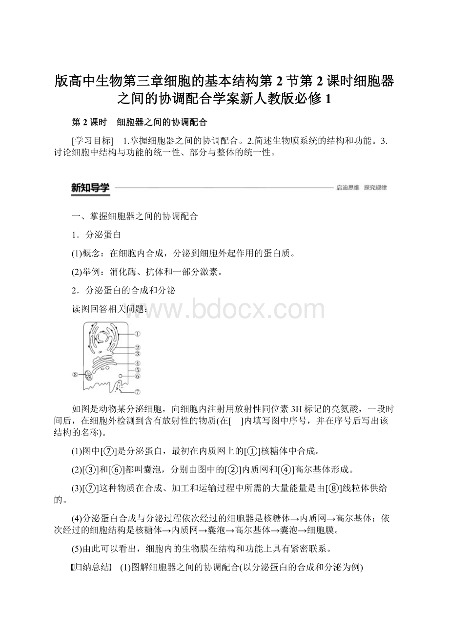 版高中生物第三章细胞的基本结构第2节第2课时细胞器之间的协调配合学案新人教版必修1Word文档下载推荐.docx