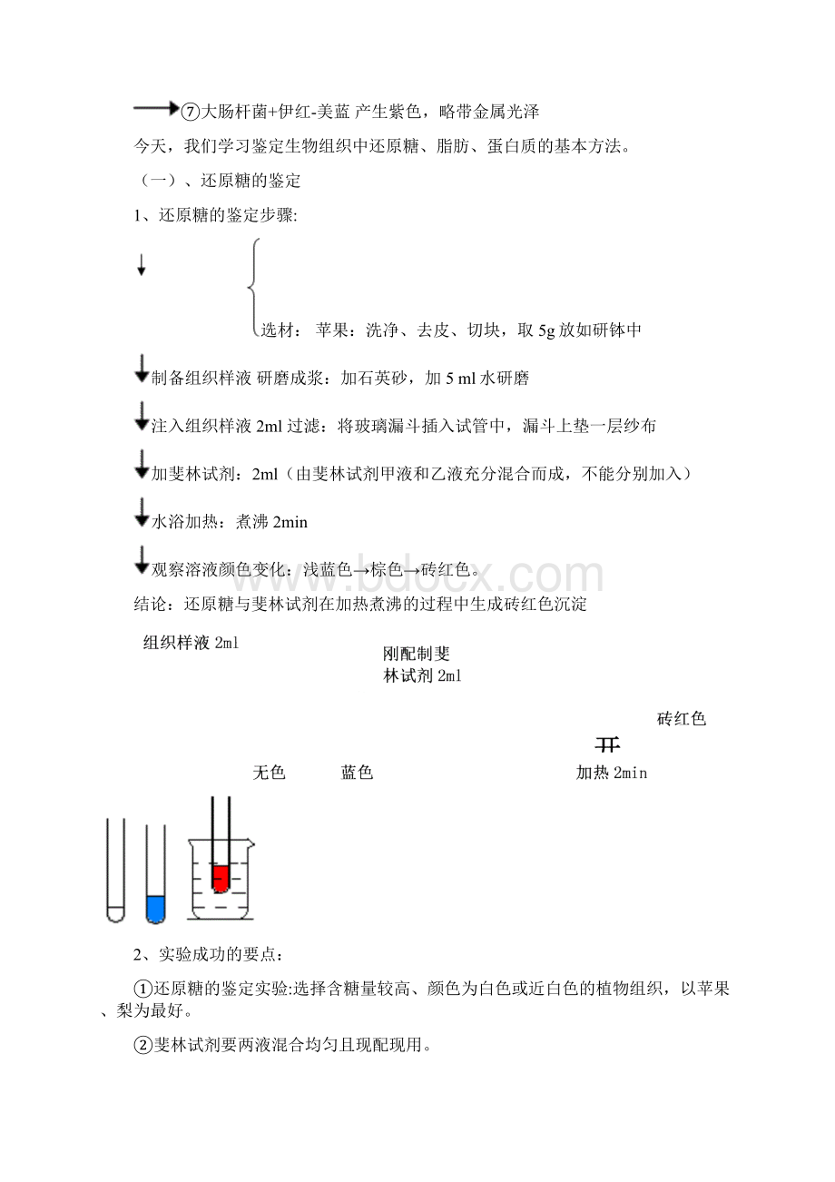 还原糖脂肪和蛋白质的鉴定.docx_第3页