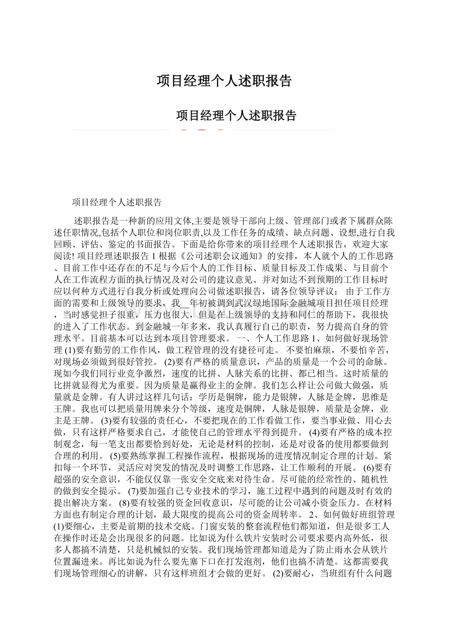 项目经理个人述职报告.docx