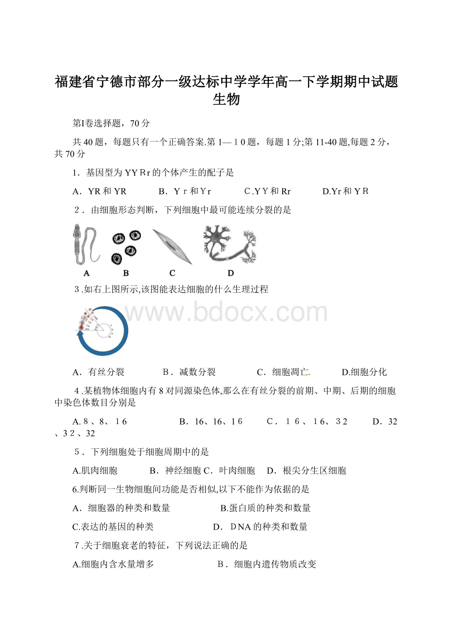 福建省宁德市部分一级达标中学学年高一下学期期中试题生物Word格式文档下载.docx_第1页