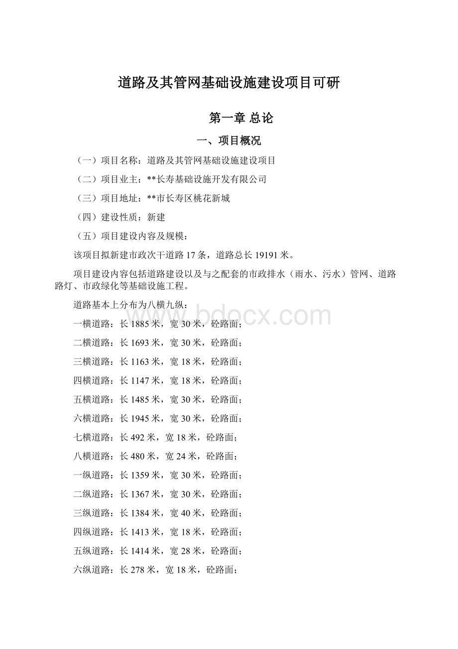 道路及其管网基础设施建设项目可研.docx