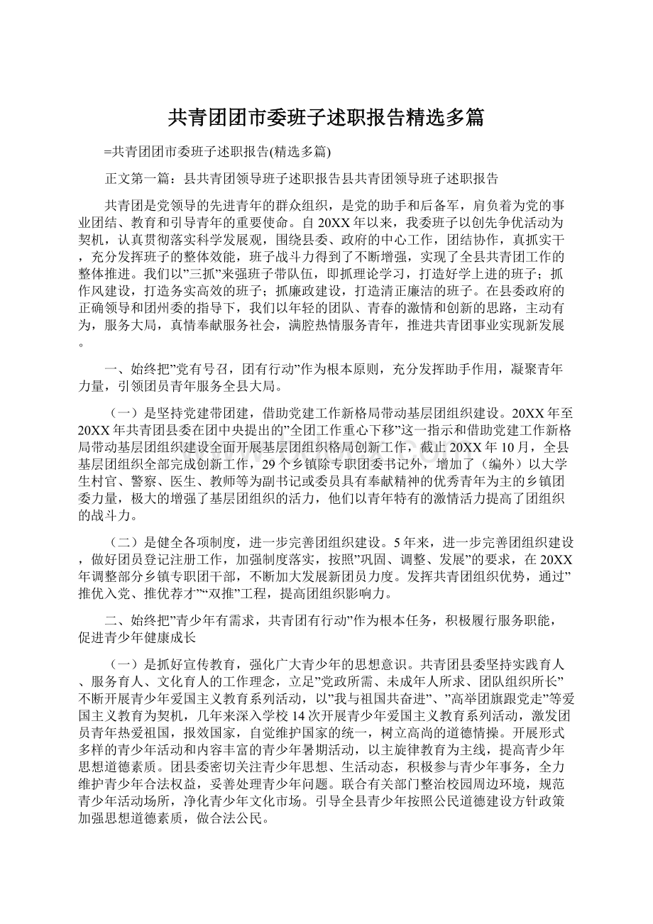 共青团团市委班子述职报告精选多篇文档格式.docx