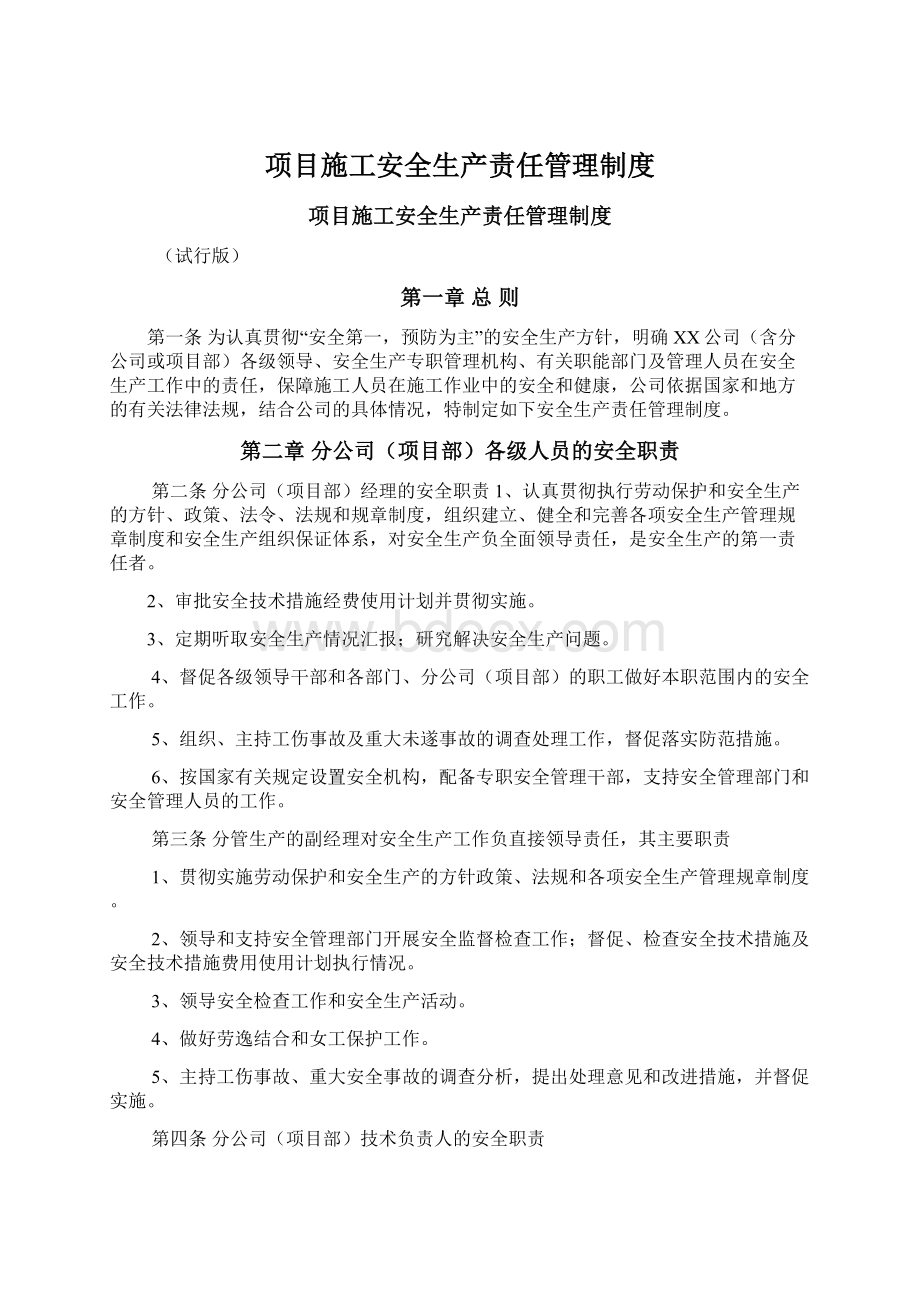 项目施工安全生产责任管理制度文档格式.docx_第1页